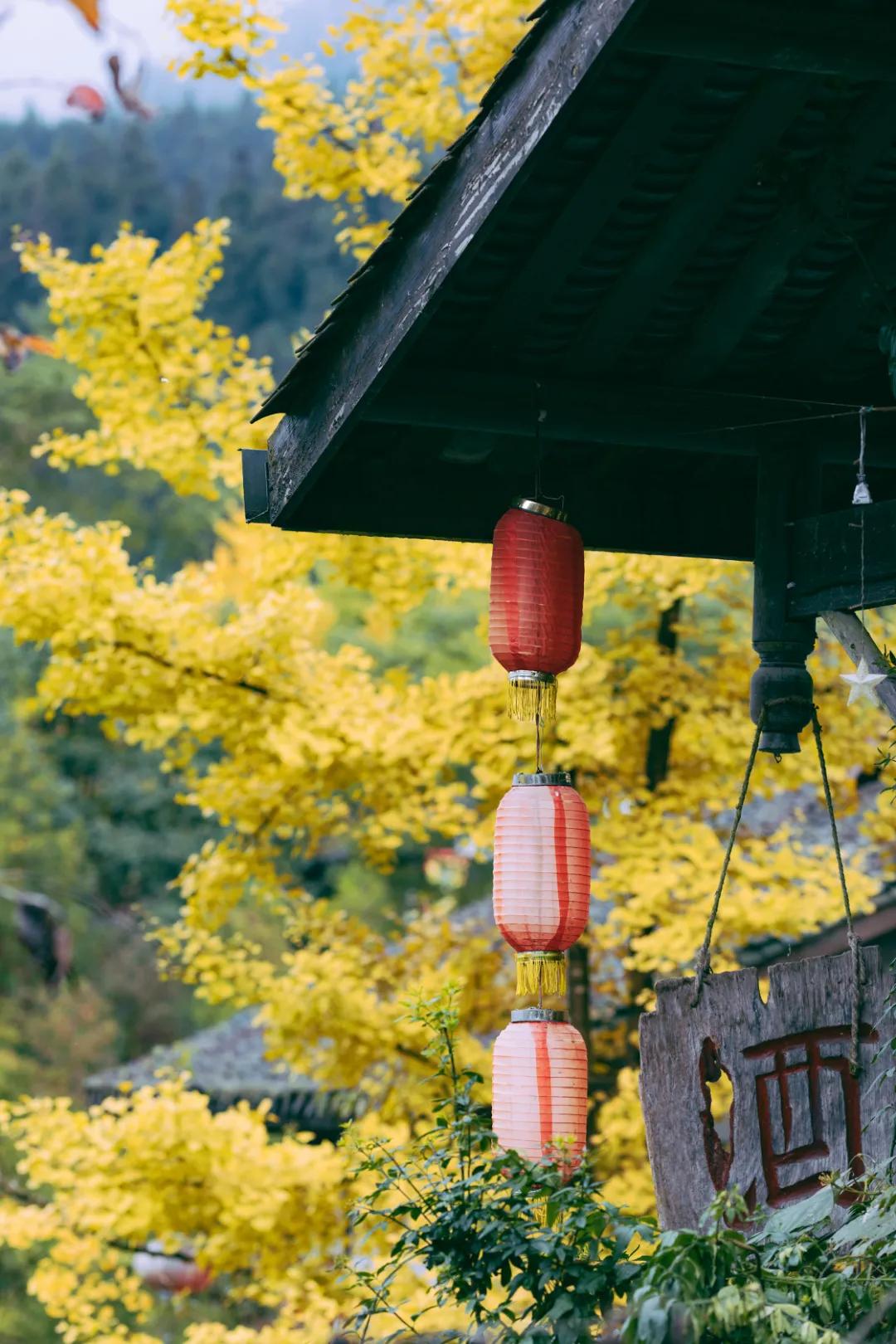 冬日养生泡汤,冬日赏雪泡温泉