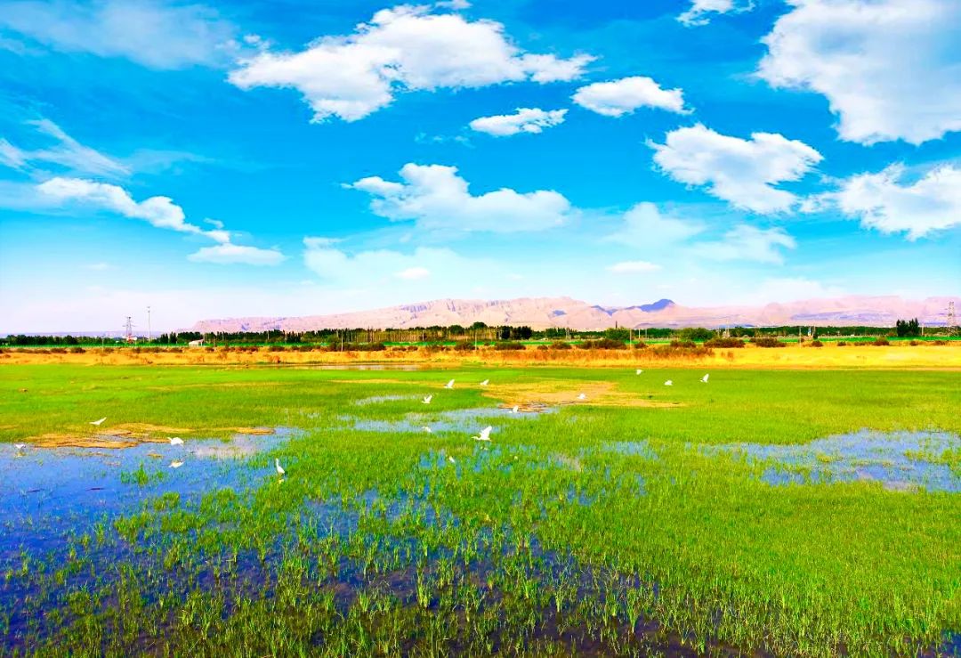 乌海繁华城市中心位置,乌海这个城市有前途吗