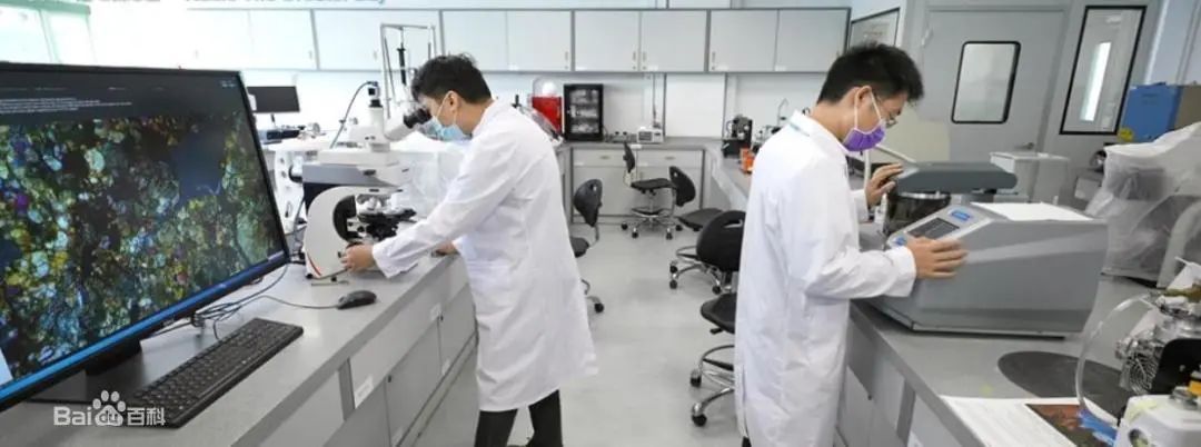 艺术生留学首选：澳门科技大学2023内地本科招生简章解读