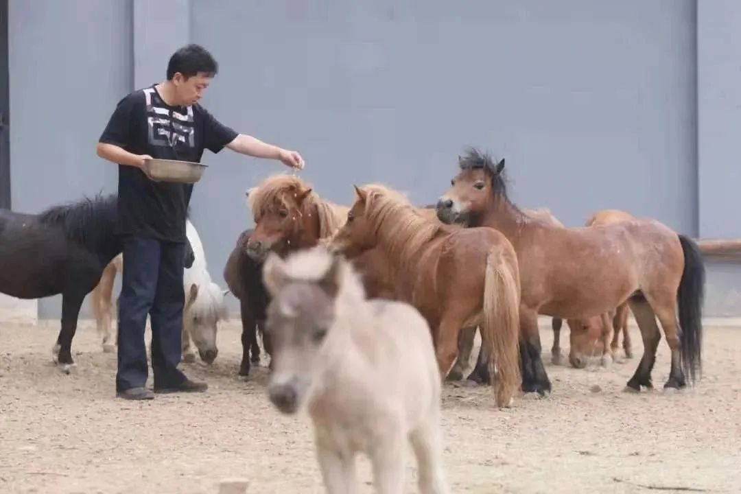 于谦相声论职业,于谦说相声赚钱多还是演戏赚钱多