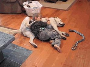 狗狗掉毛都快秃了还痒,狗狗尾巴毛掉秃了怎么回事