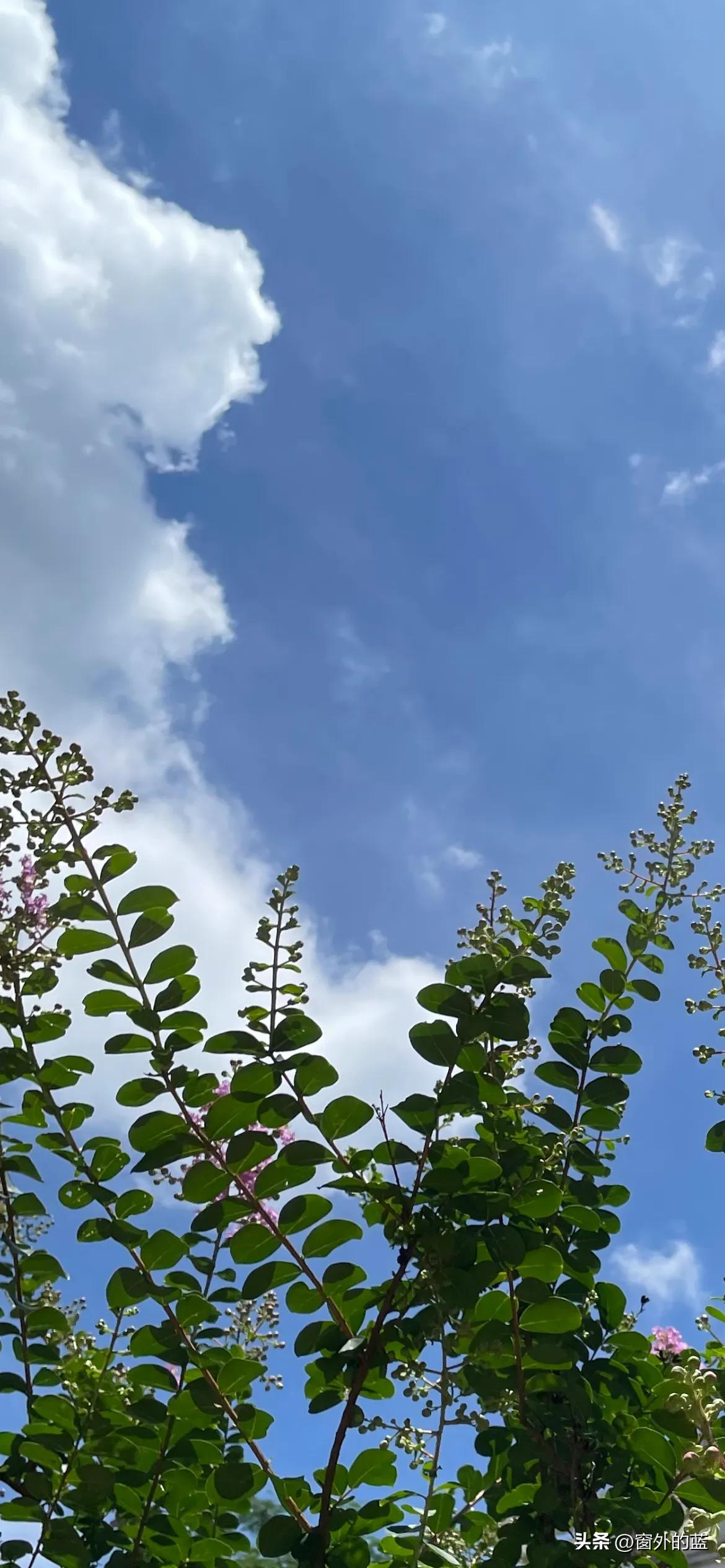 劳动课题开题报告专家评议要点,课题开题论证表专家评议要点