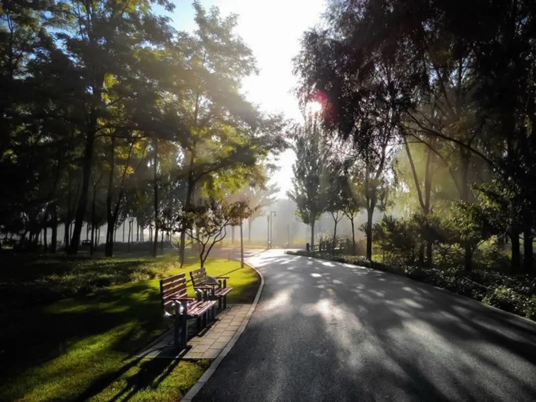 海淀公园相亲小程序,海淀公园相亲角