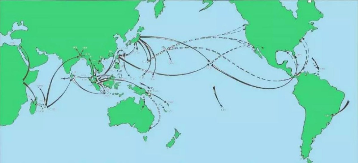 繁衍力极强的几种生物,十大繁殖能力最强的生物