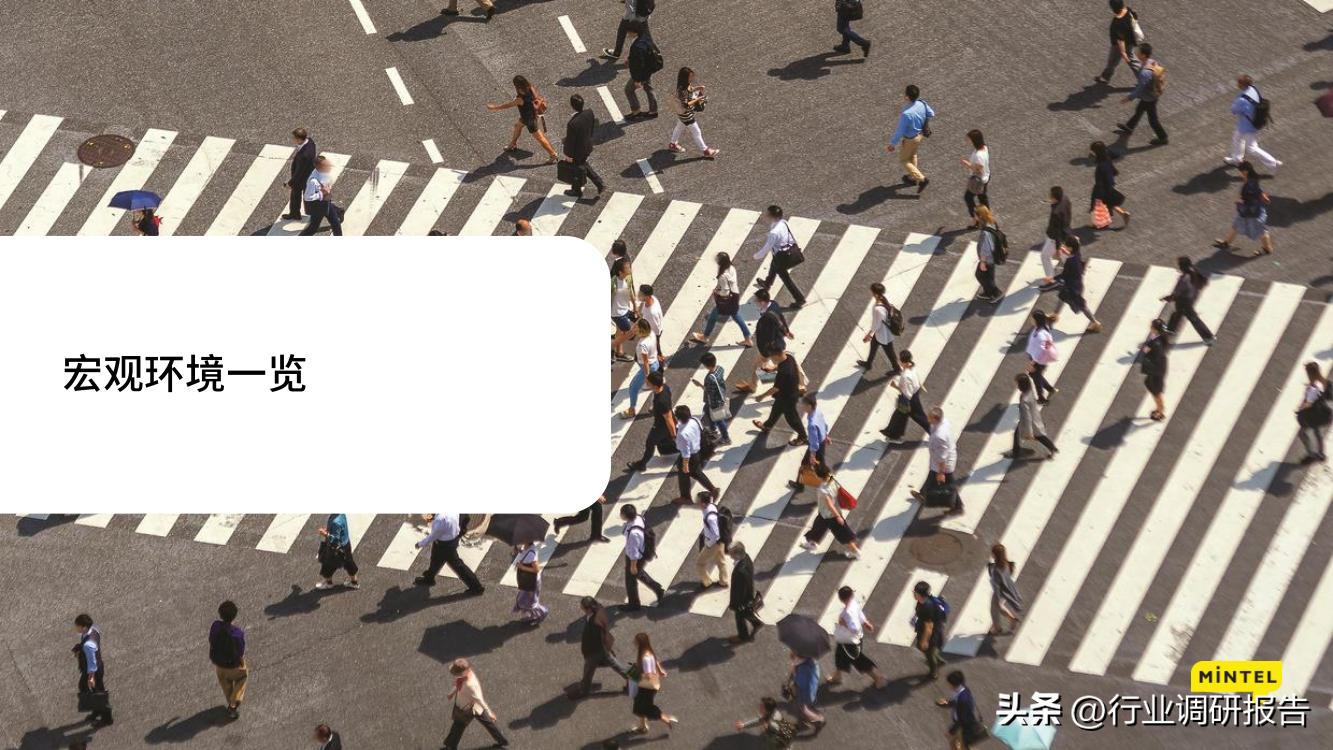 2023中国消费者地方洞察报告,2023年中国消费者趋势报告下载