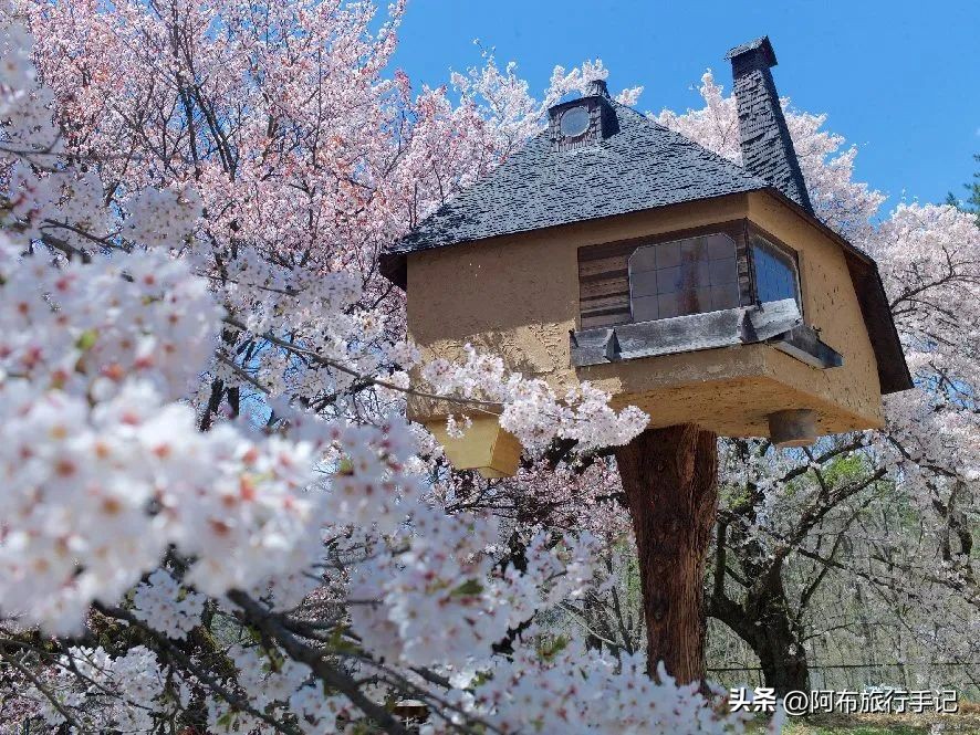 高处好乘凉：说个日本火山连峰，典型又小众，中文攻略很少见