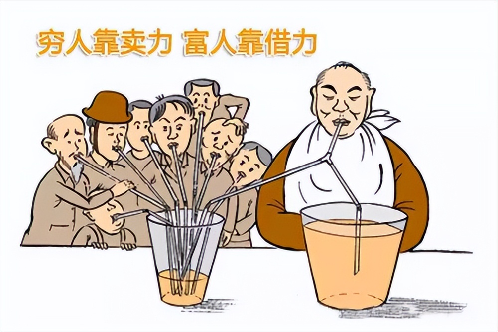 自贸港值得做的生意,如何利用自贸港创业