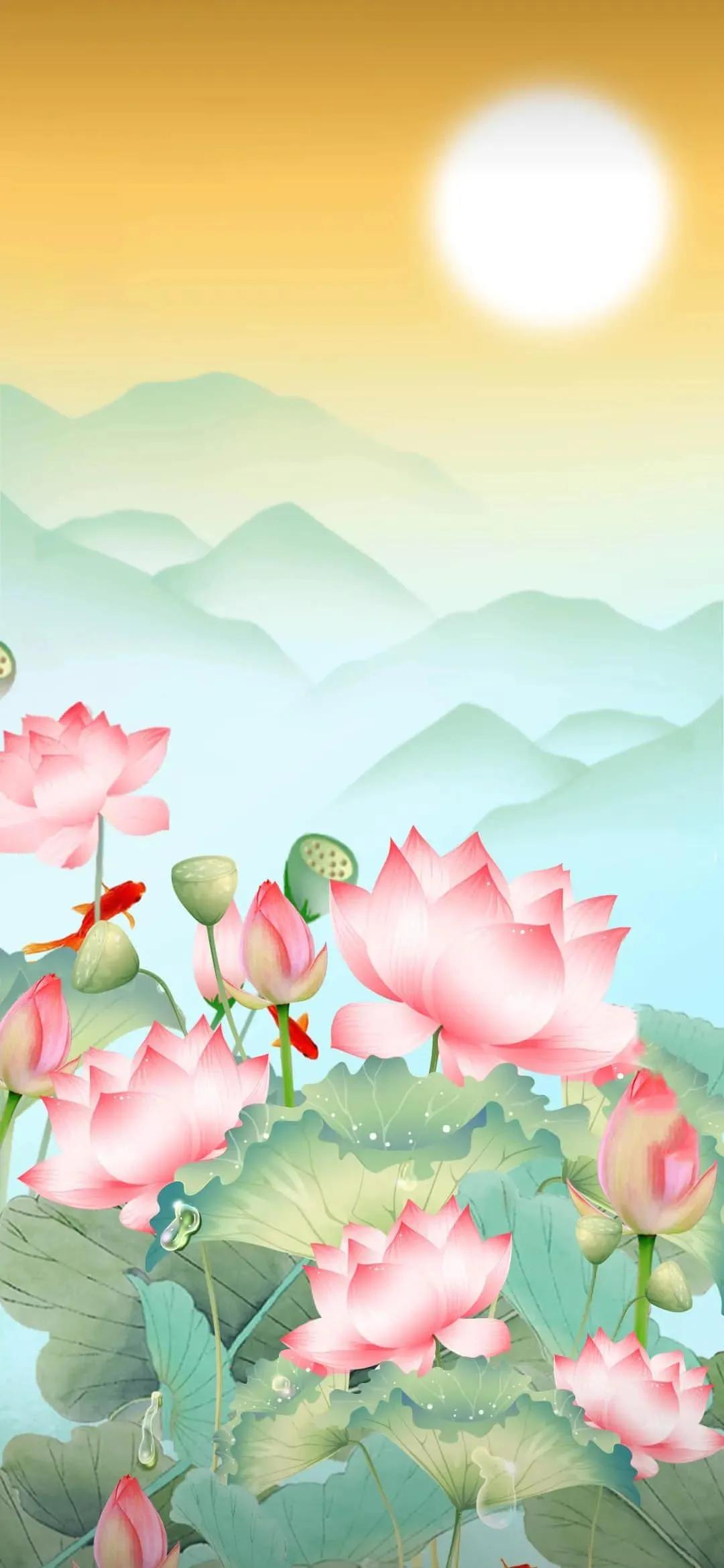 漂亮美丽的荷花壁纸,雨中荷花壁纸荣盛城