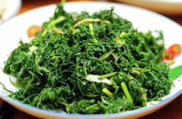 新鲜马齿苋如何凉拌好吃,马齿苋可以和荠菜一起吃吗