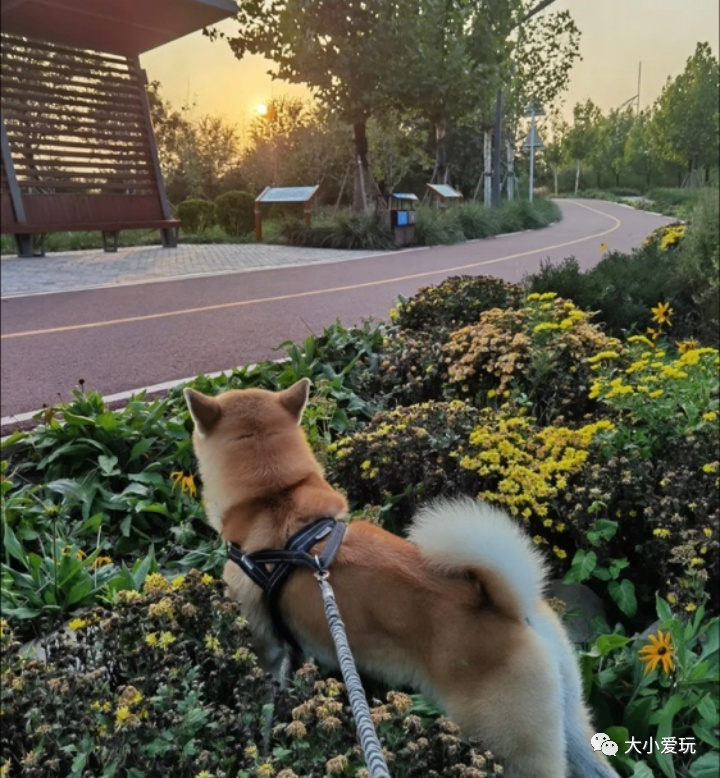 可以遛娃的公园,适合遛娃旅游的公园