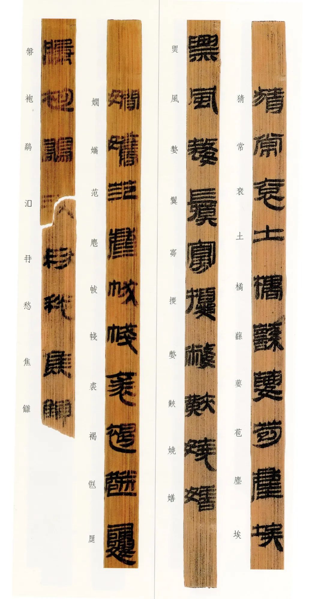 西汉竹书,西汉竹简草隶书法作品