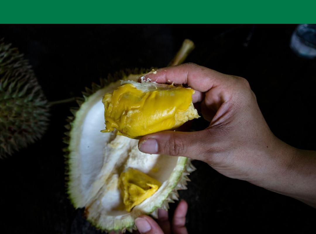 中国进口榴莲种植,中国市场所有榴莲都是进口的吗