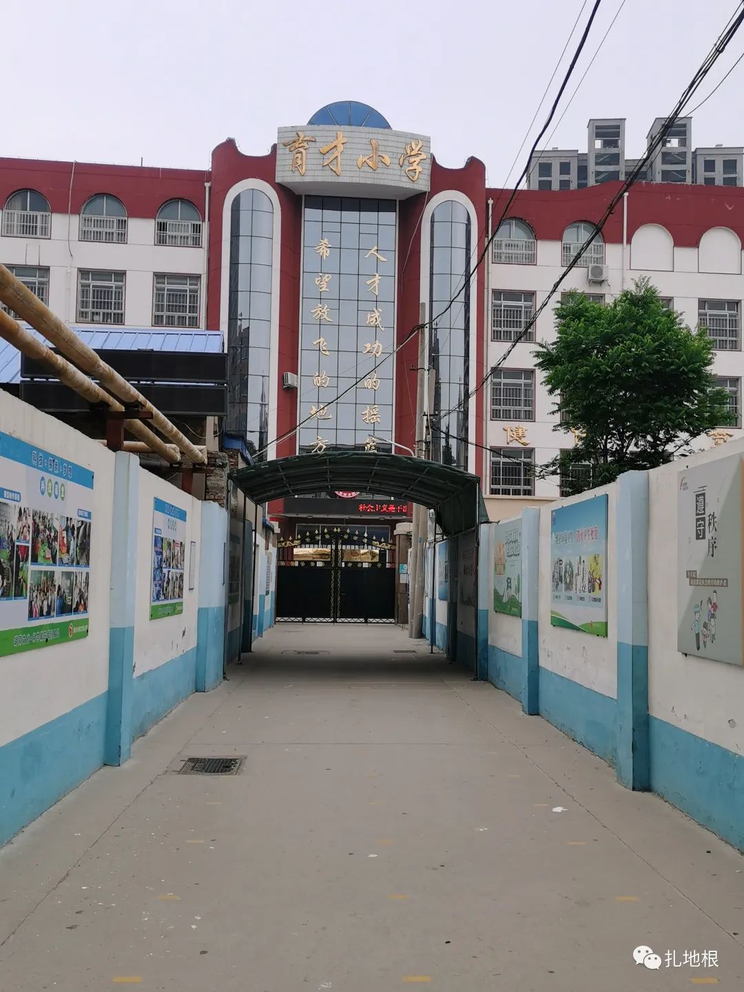 衡水市区比较好的小学有哪些,衡水公办小学有哪些