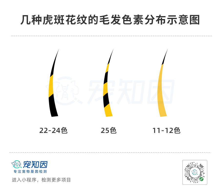 基因克隆最新突破,基因最新突破