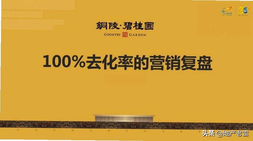 碧桂园房地产竞品分析,碧桂园房地产价格策略