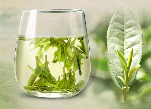 竹叶青和峨眉雪芽差距,为什么竹叶青茶叶有的是黄色的