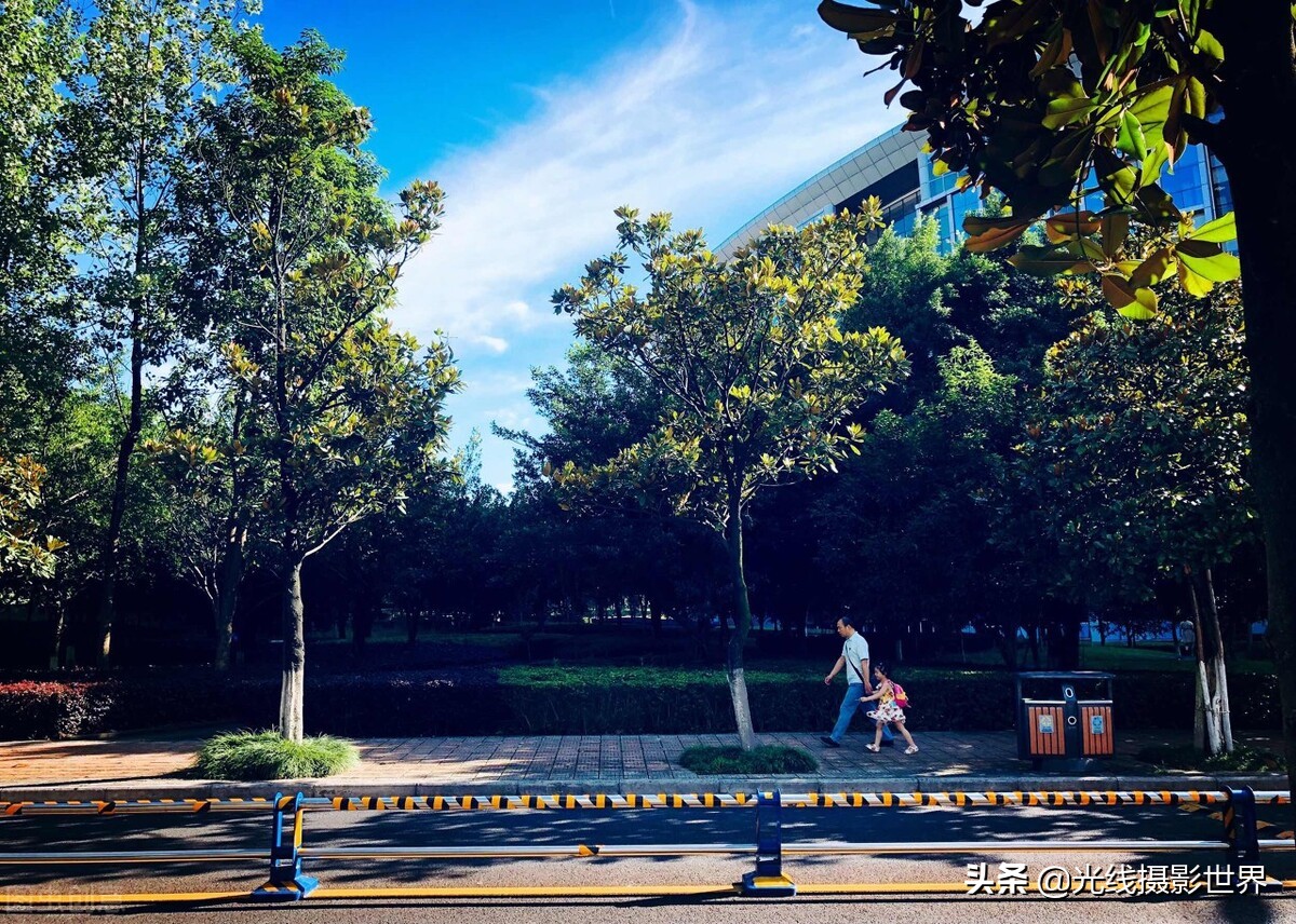 西南政法大学：法学界黄埔军校，法学齐名清华北大，却不是双一流