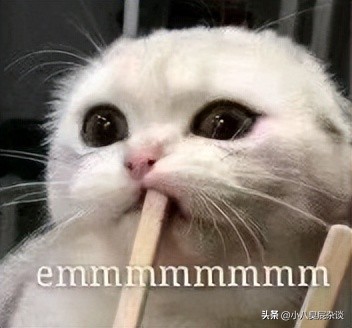 韩美腻绿了泡菜王和小狼狗在剧组做头发(12)