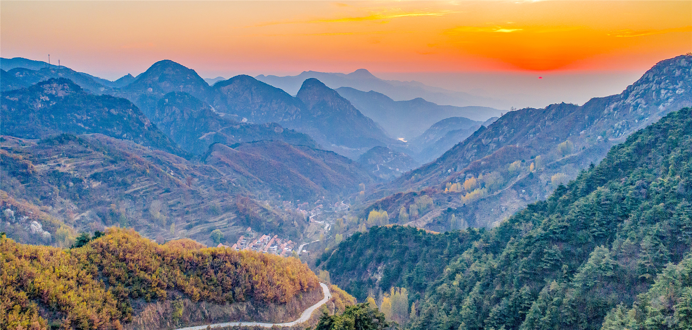 入秋济南好去处,济南秋季看花打卡地