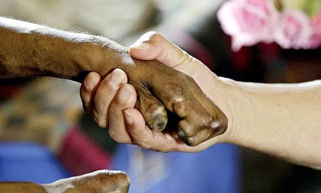 广东大虎岛麻风病医院,台山大襟岛麻风病院可以去吗