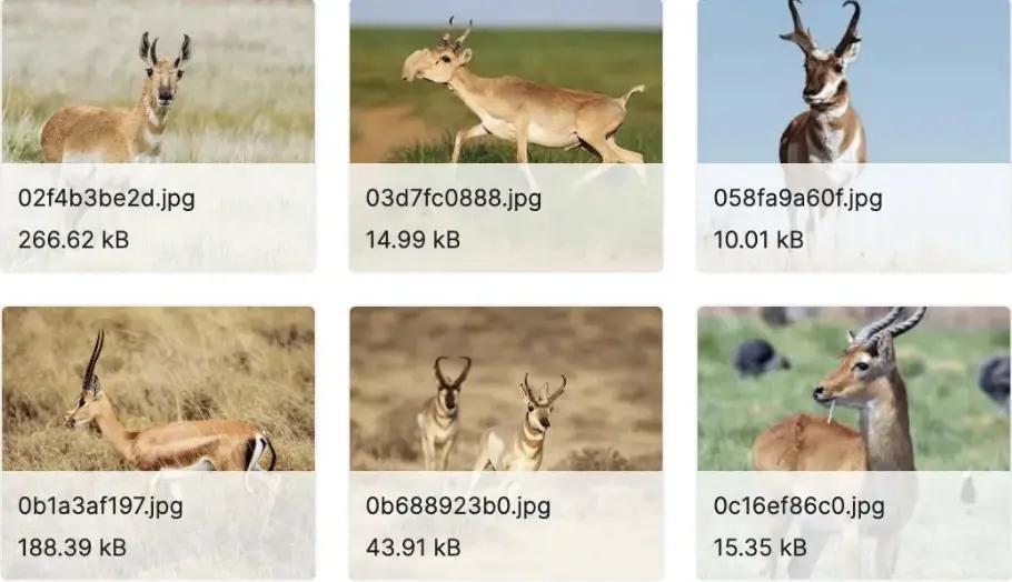 100+深度学习开源数据集分类汇总