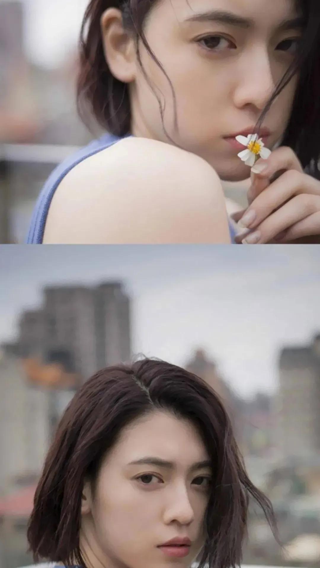 姹紫嫣红霞笼雾，佳酿温馨浅浅歌