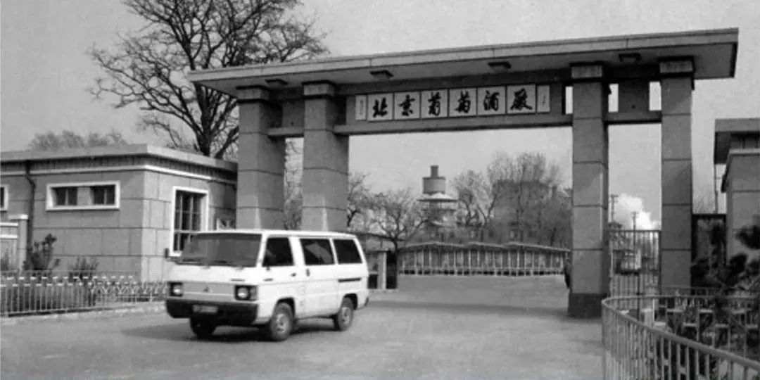 海淀中关村网红打卡地,海淀打卡网红店