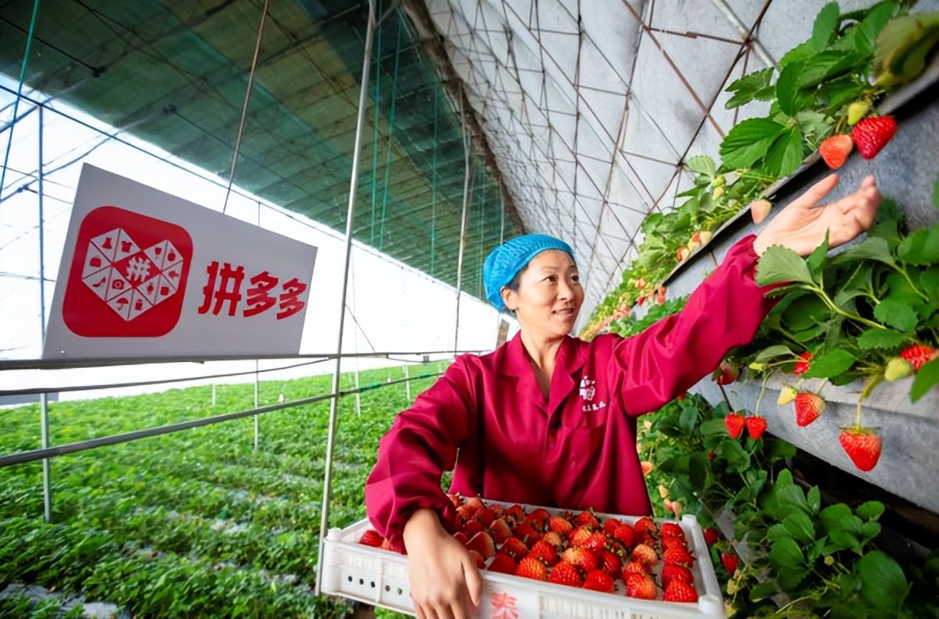 拼多多这个平台的底层逻辑是什么,拼多多平台为什么要做亏本生意