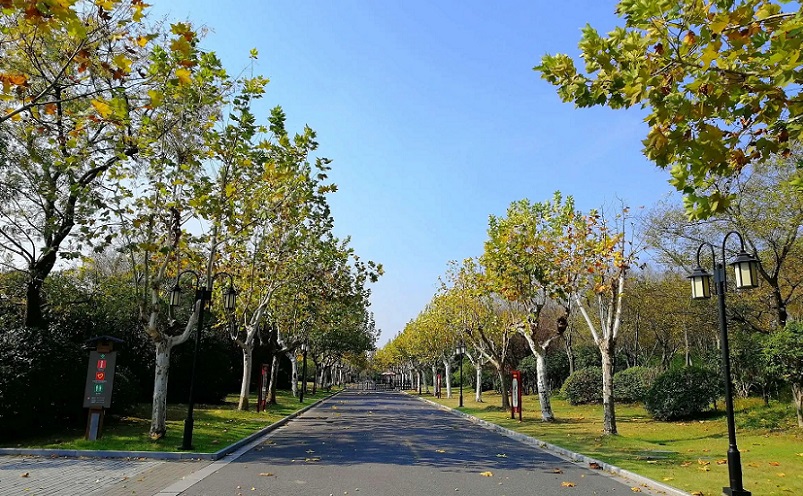 扬州最冷门老街,扬州旅游十大必去景点排行榜