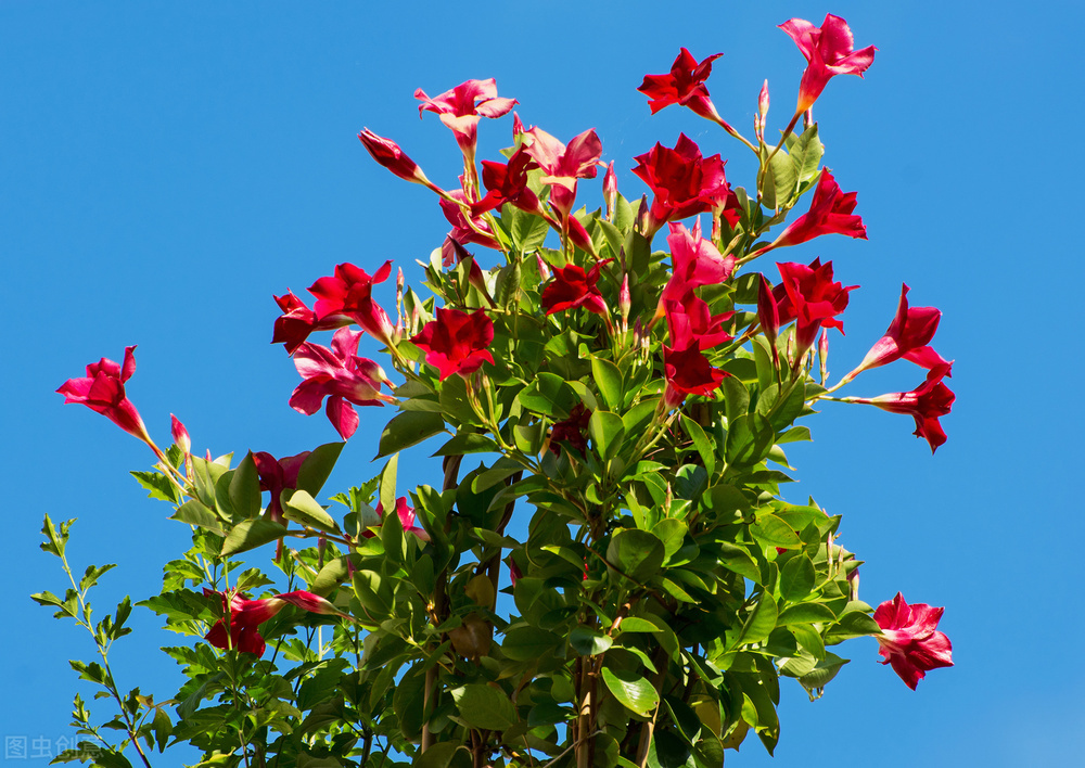 100个让自己变美的习惯,变美的29个习惯