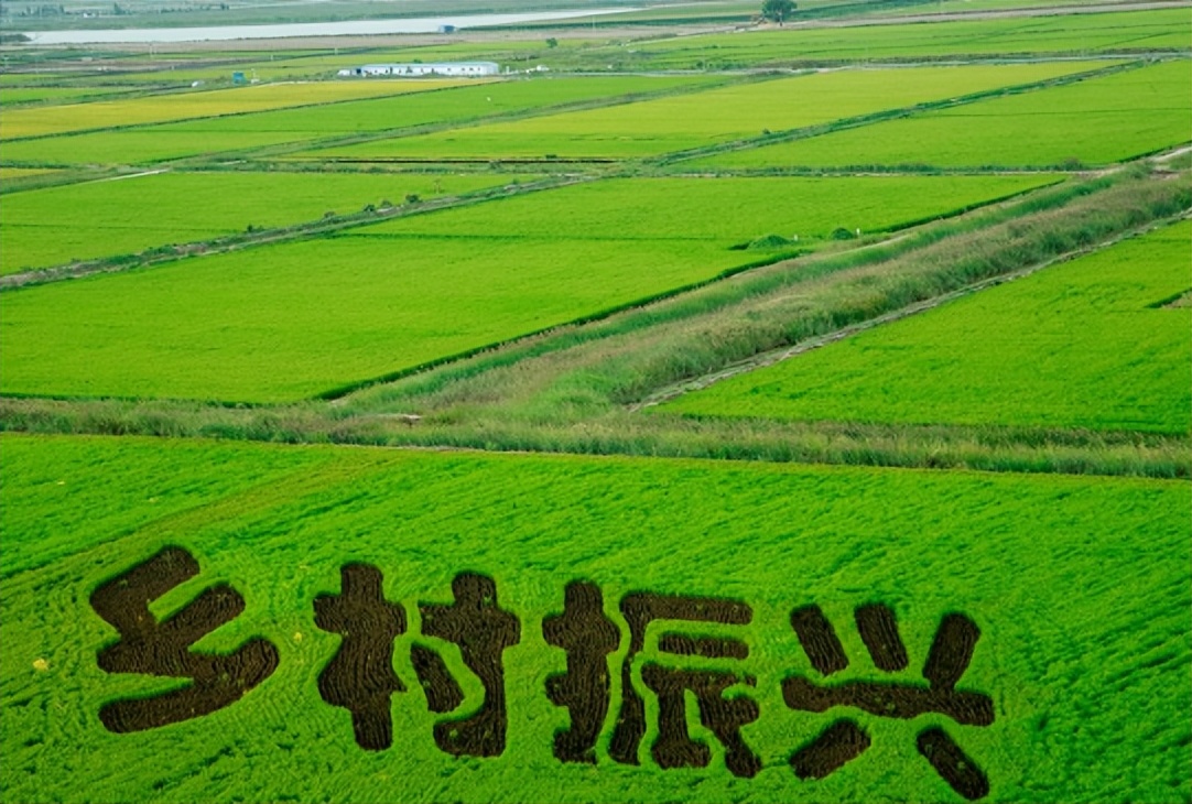 农业“碳”赛道：3大创业方向；盒马：发力鲜食预制菜