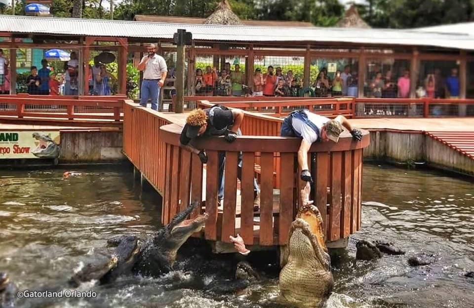 最详细的迈阿密旅游攻略,美国迈阿密3天旅游攻略