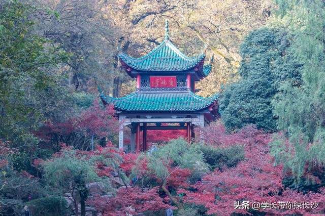 长沙旅游攻略5天4夜酒店,长沙旅游攻略3天2夜多少钱