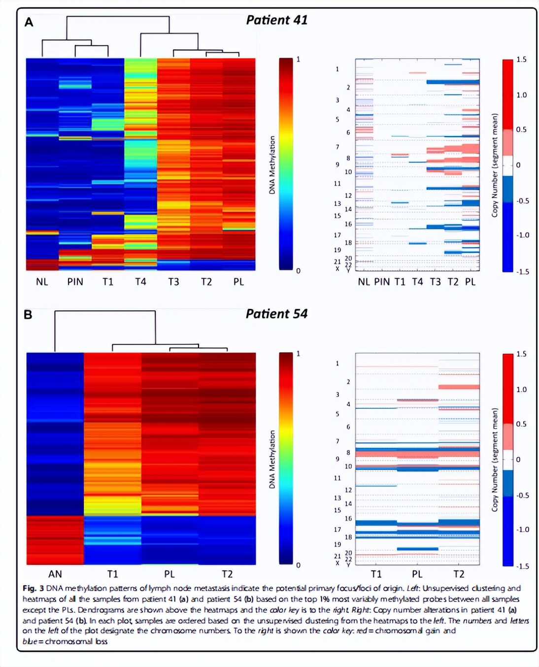 dna甲基化防癌检测的卖点,dna甲基化利器