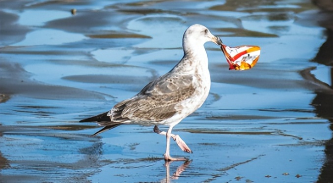 2022包装行业回顾：乌克兰战争、化学回收和生物塑料