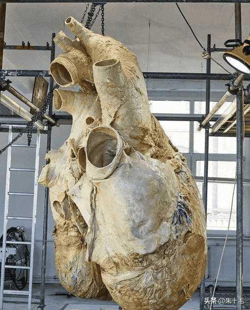 80年代美人老照片,民国美人老照片图库