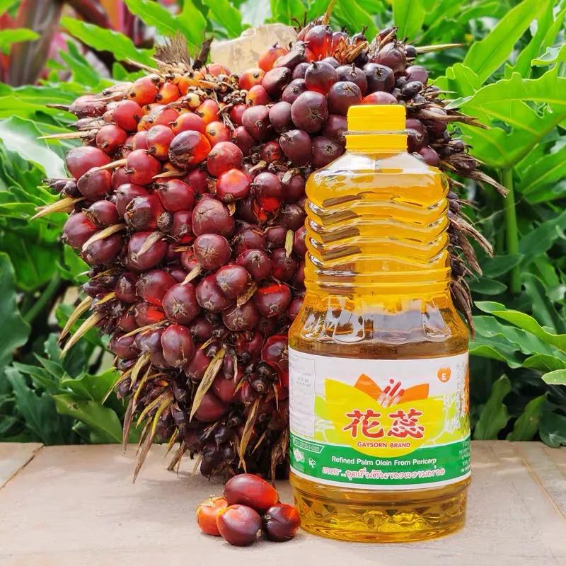 为什么棕榈油能成为世界油王,棕榈油在哪个国家产量最大