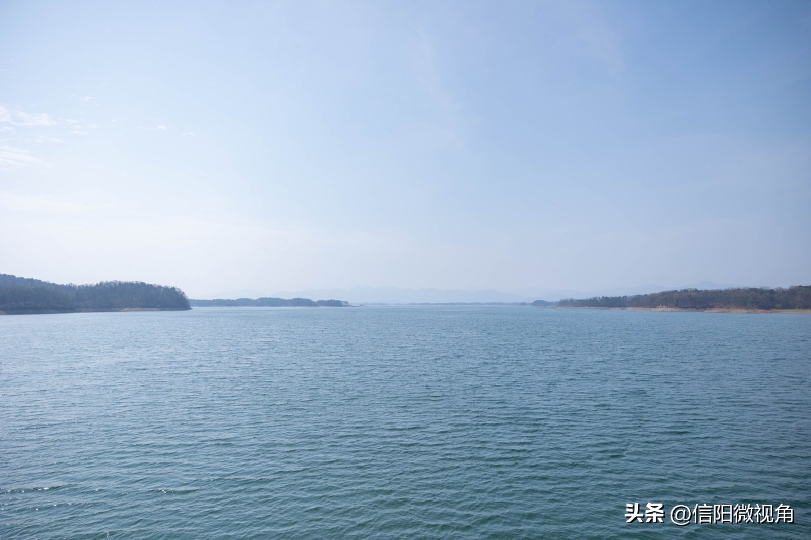 信阳南湾湖猴岛鸟岛茶岛,南湾湖鸟岛怎么去猴岛