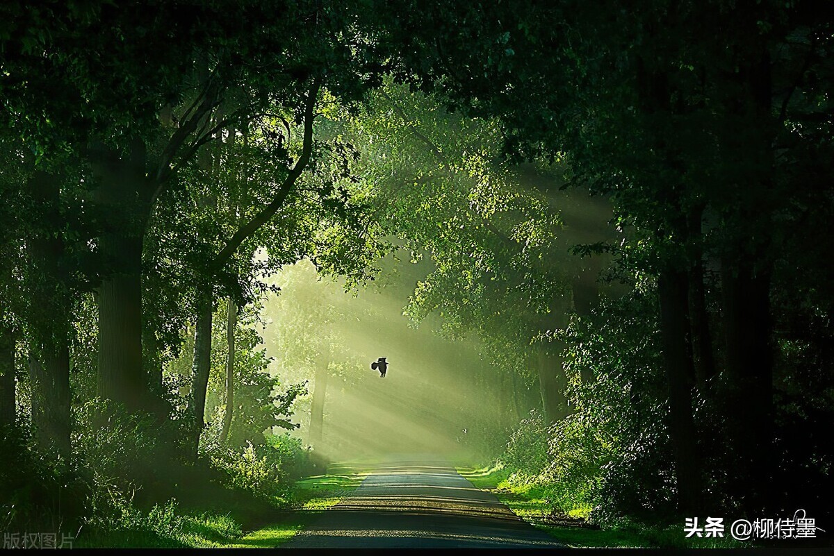 手机摄影拍摄技巧风景篇,手机专业摄影拍照技巧教程