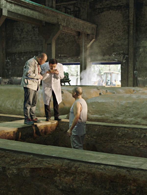 微生物菌群最新研究进展,一号菌群科研新成果