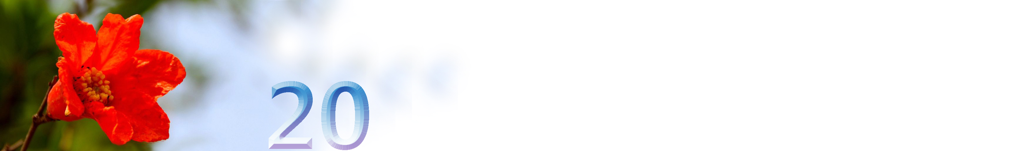 五月石榴花开的唯美诗句,关于石榴花的美文和诗句