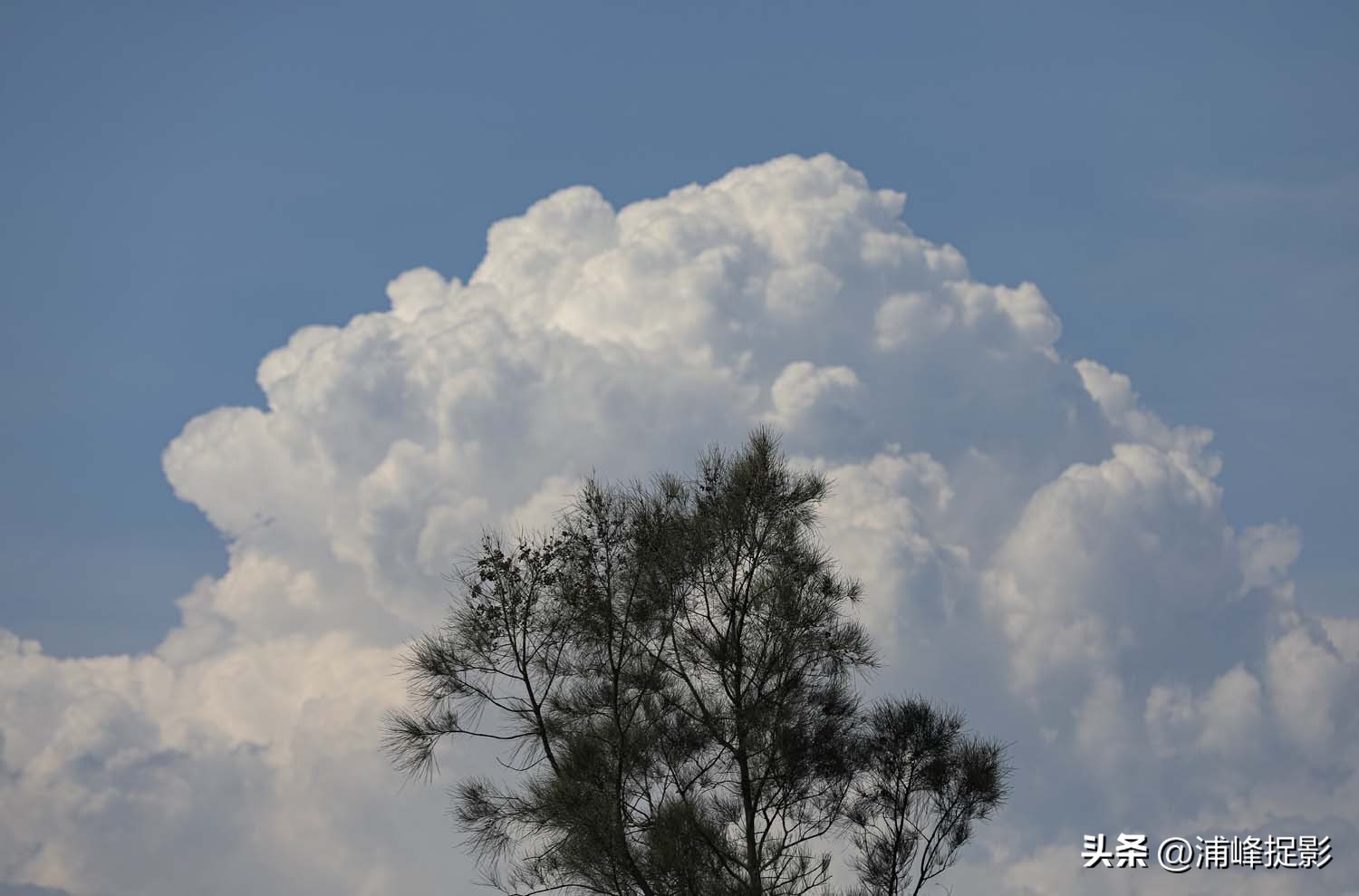 福建的海和三亚,福建霞浦好看的海