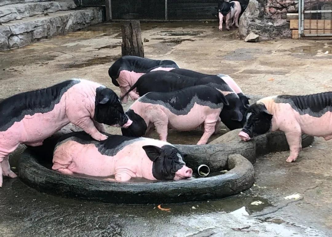 开学焦虑好想哭,开学焦虑心情压抑想哭难受