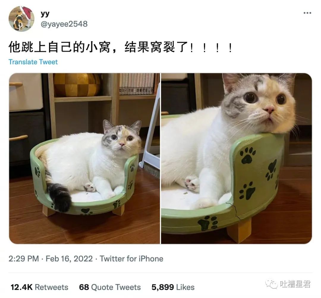 花1.4万吃了顿午饭后，全国人民都知道我了哈哈哈哈