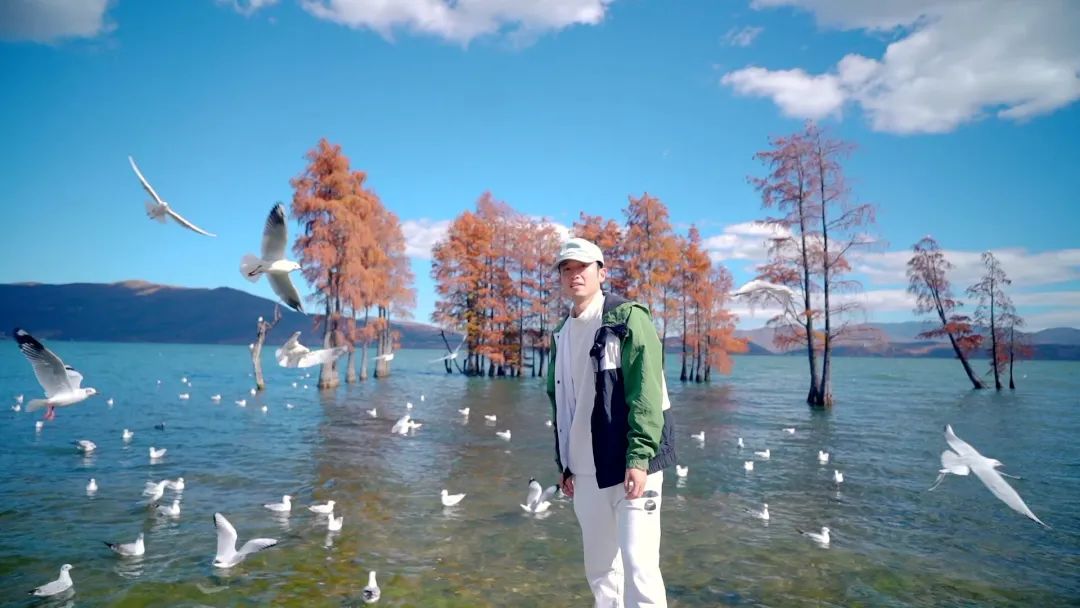冬季洱海看海鸥最佳地方,这个冬天洱海该有多浪漫