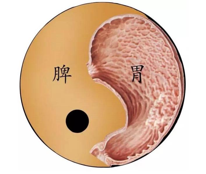 上热下寒中焦不通脾胃虚弱偏方,上热下寒脾胃堵