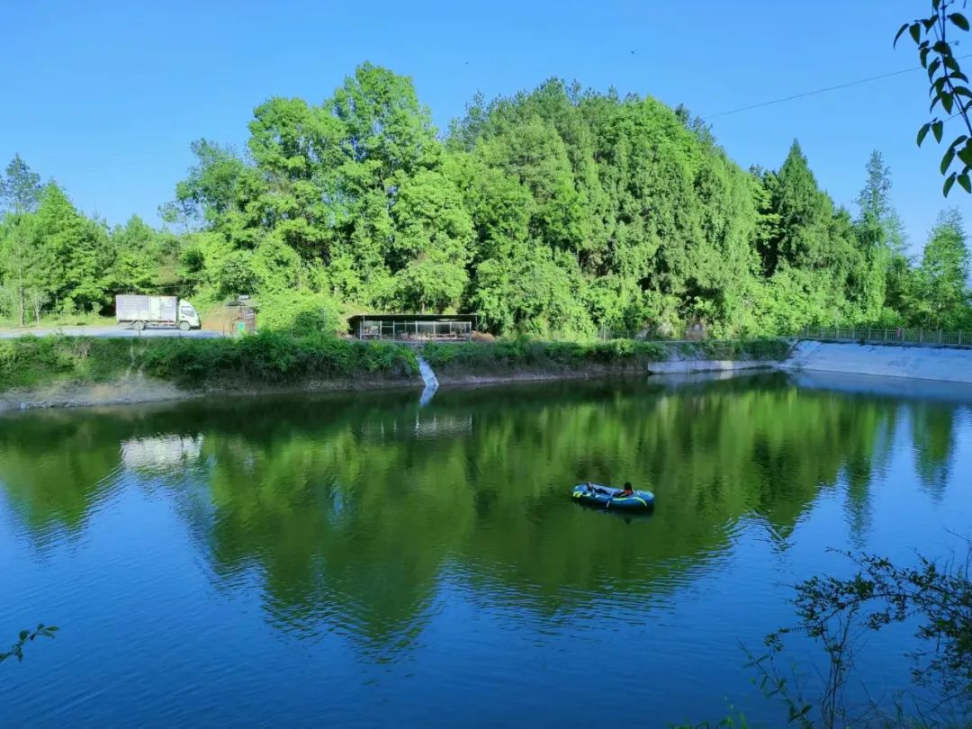 “蓝”不住的“莓”好！旺苍县木门蓝莓基地已开园！