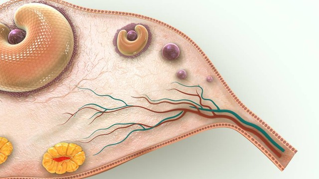 子宫内膜厚不孕偏方,子宫内膜增厚不孕怎么办