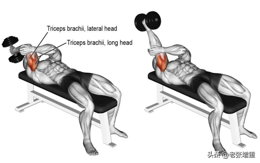 将手臂肌肉练大一个维度要多久,如何通过做俯卧撑增大手臂围度
