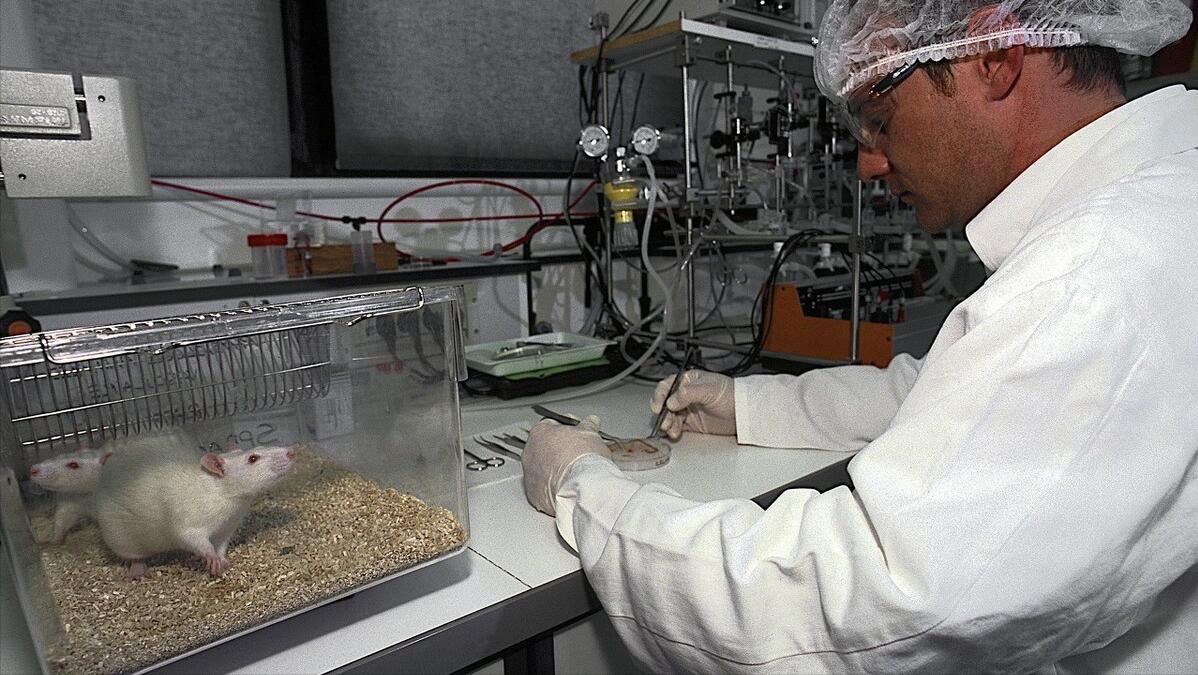 尿酸高吃的药对人伤害大吗,非布司他降尿酸后怎么保持低尿酸